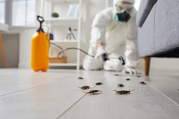Commercial Kitchen Cockroach Control in Glendora